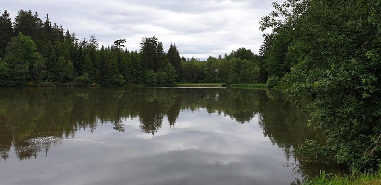 Chalupa Kadov Sněžné Exteriér fotografie