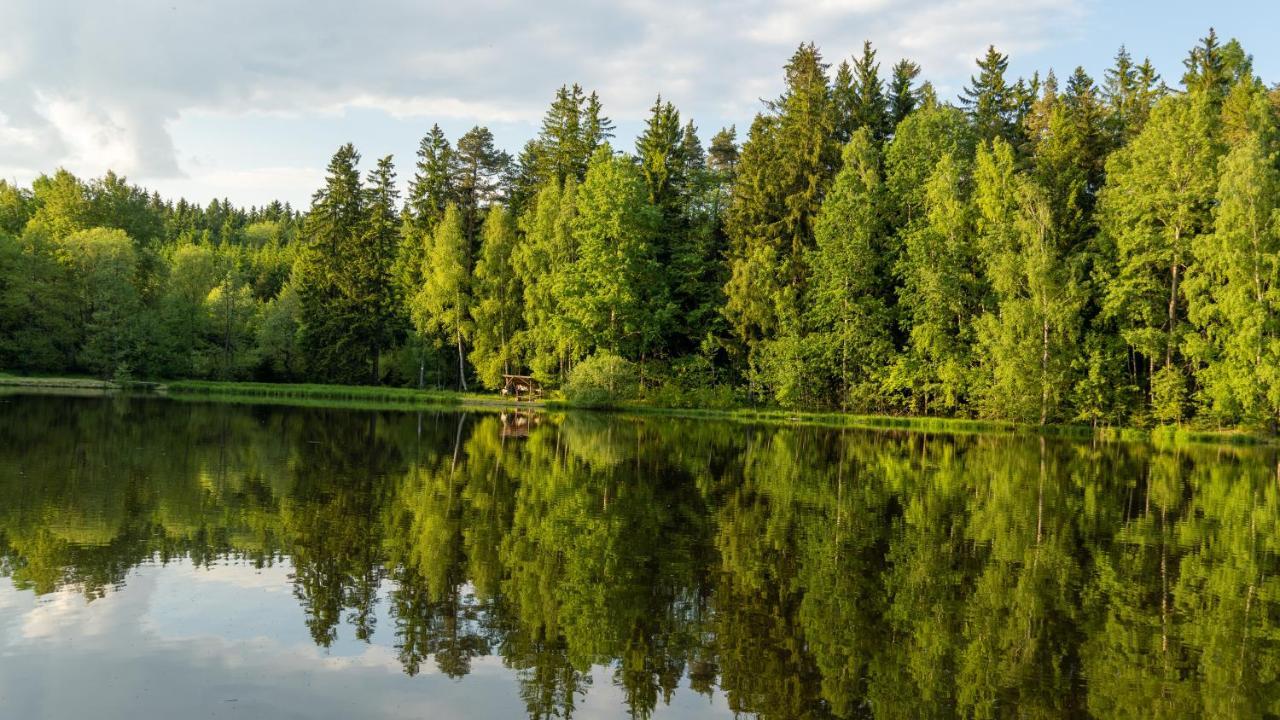 Chalupa Kadov Sněžné Exteriér fotografie