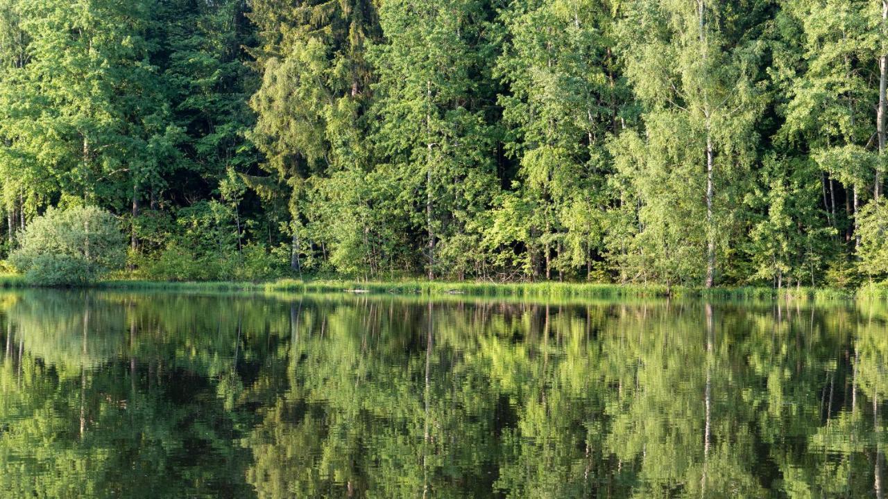 Chalupa Kadov Sněžné Exteriér fotografie